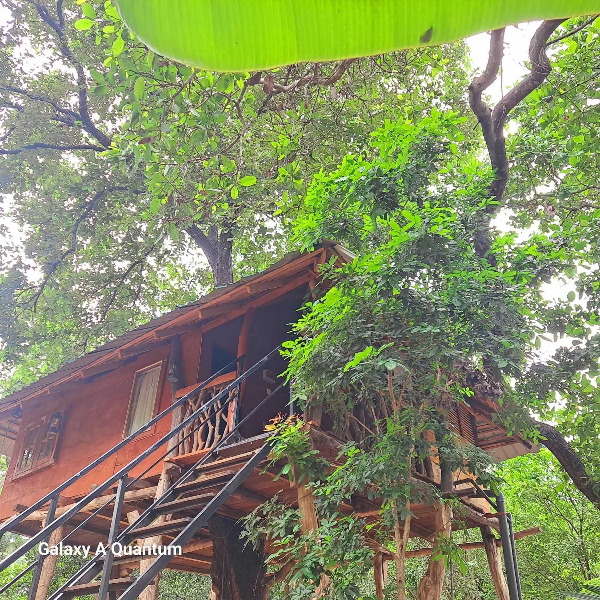 Green Leaf Tree House Dambulla Eksteriør bilde